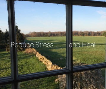 Reduce Stress...and Heal