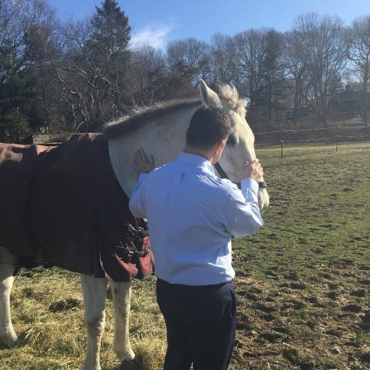 A Client’s Perspective on Equine Therapy