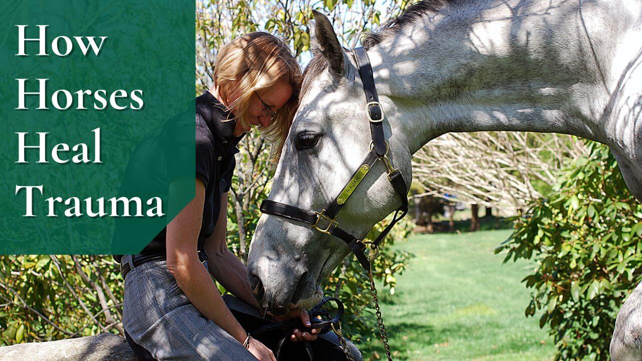 Integrative Equine Therapy How can horses help heal trauma?