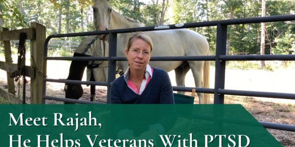 meet rajah Meet Rajah, He Helps Veterans With PTSD
