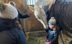 cora unicorns integrative equine therapy beachwood center for wellbeing