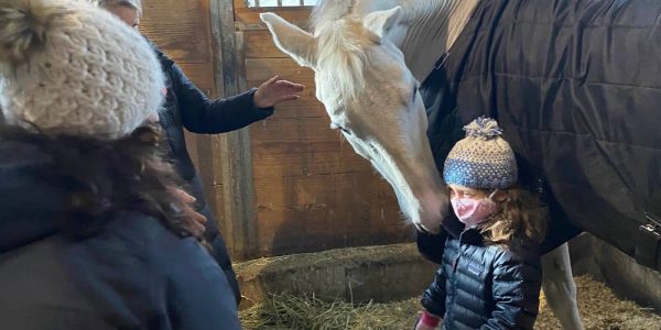 cora unicorns integrative equine therapy cora unicorns integrative equine therapy beachwood center for wellbeing