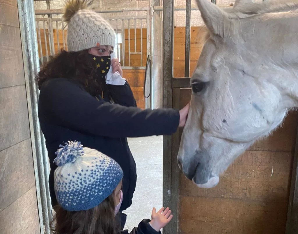 equine therapy the real life unicorn beachwood center for wellbeing in Rhode Islande