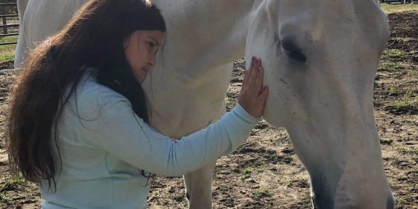 horse child Coping with COVID: How to help kids get through the pandemic: Integrative Equine Therapy - Beachwood Center For Wellbeing in RI and FL