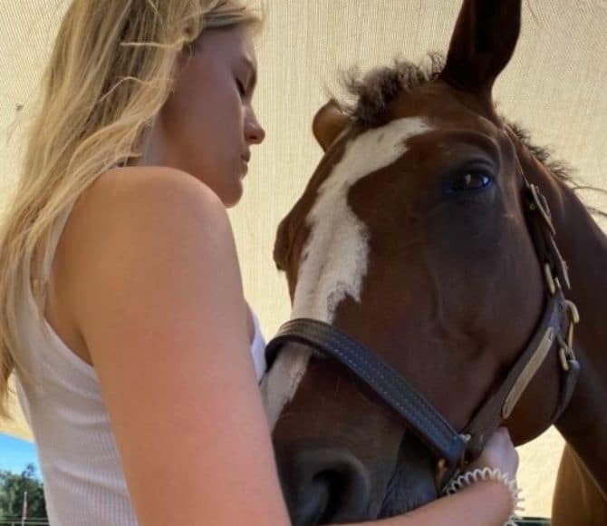 Pikksie Wish Integrative Equine Therapy Horse - Beachwood Center for Wellbeing - Rhode Island and Florida