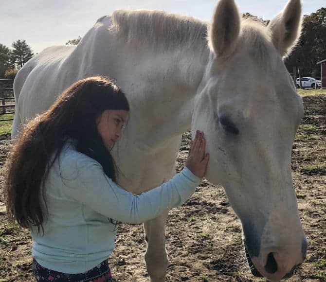 Rajah Integrative Equine Therapy Horse - Beachwood Center for Wellbeing - Rhode Island and Florida