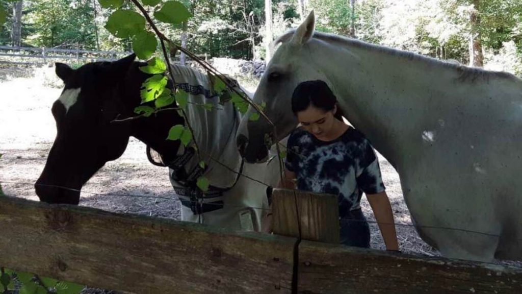 Beachwood Integrative Equine Therapy Horses