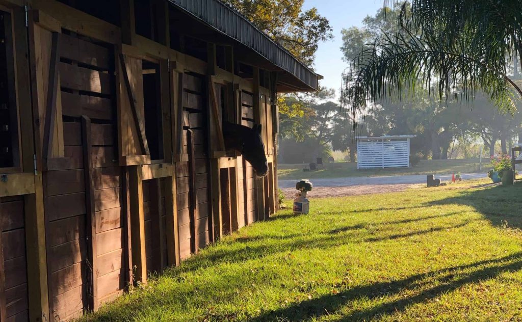 beachwood center for well being integrative equine therapy wellington fl