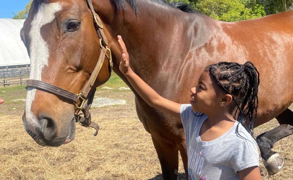 integrative equine therapy for stress and anxiety management - beachwood center for wellbeing