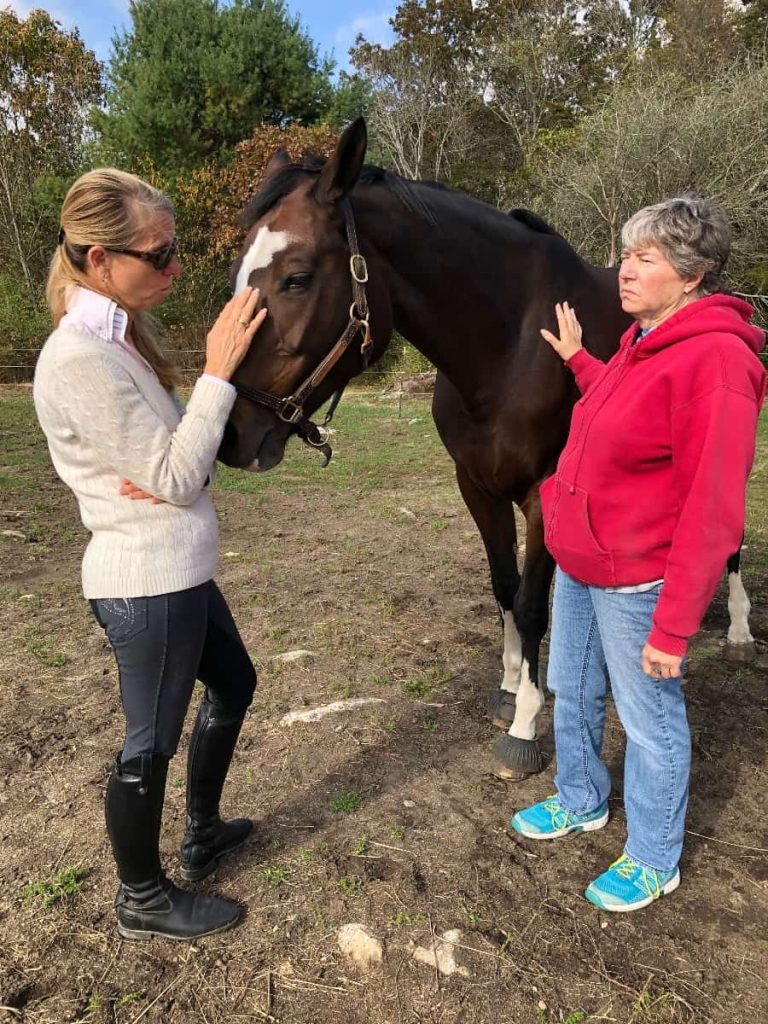 7 ways to shift perspective during uncertain times - try equine therapy