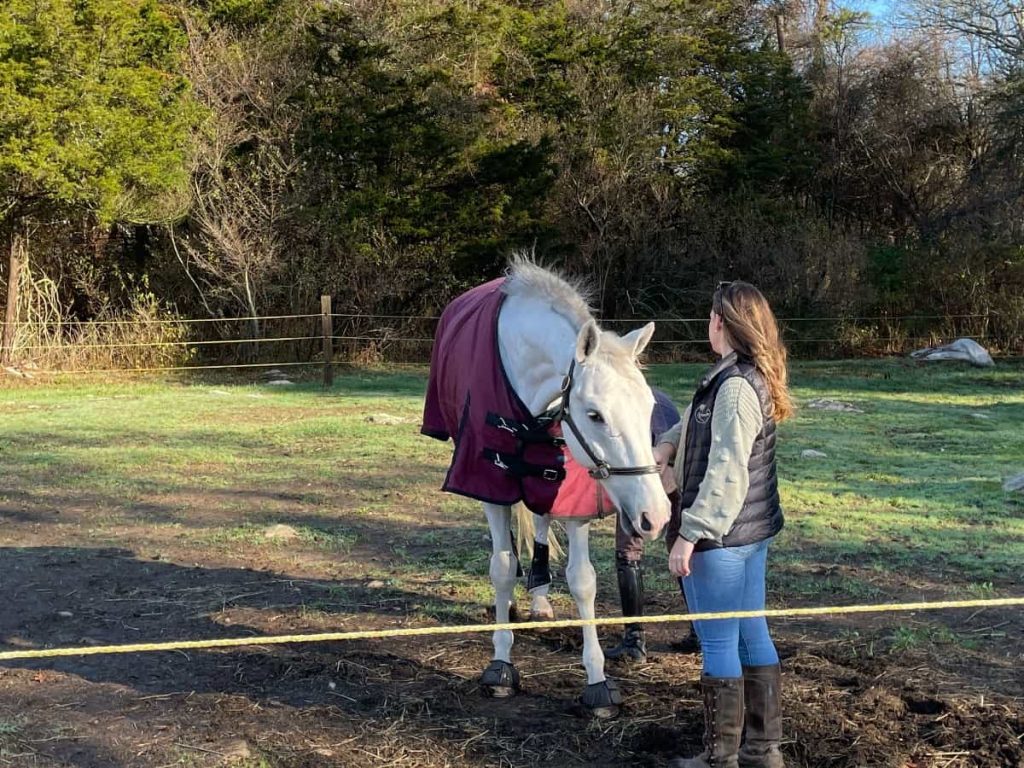 7 ways to shift perspective during uncertain times - try equine therapy