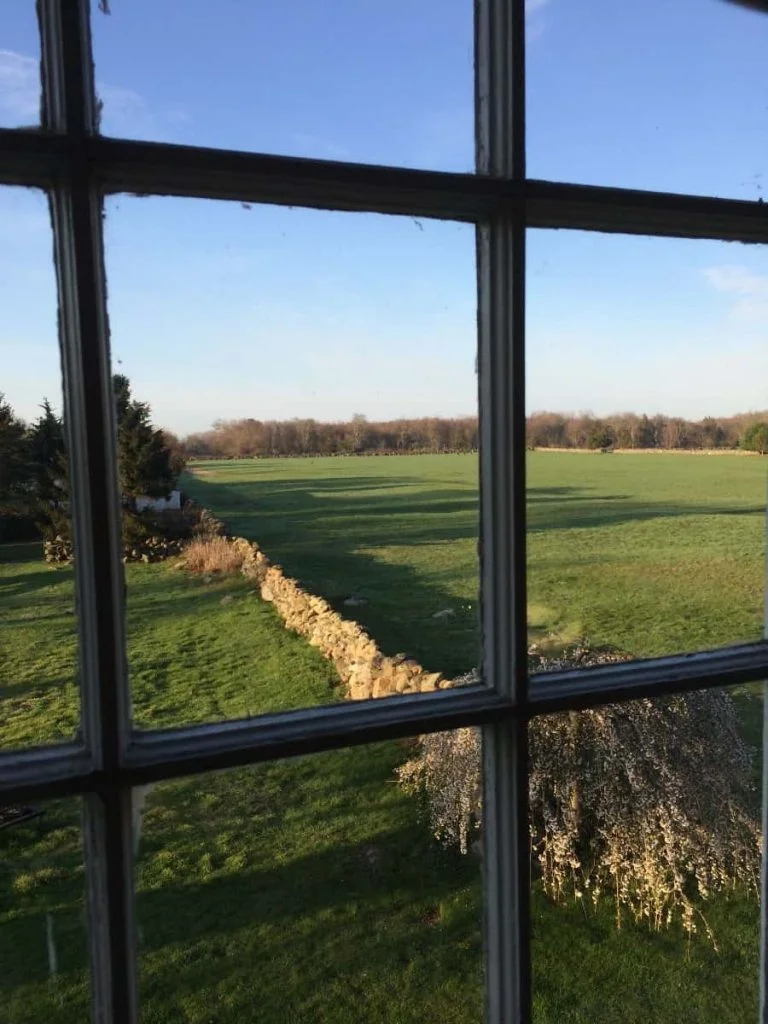 7 Ways to Shift Perspective During Uncertain Times 2 7 ways to shift perspective during uncertain times - try equine therapy