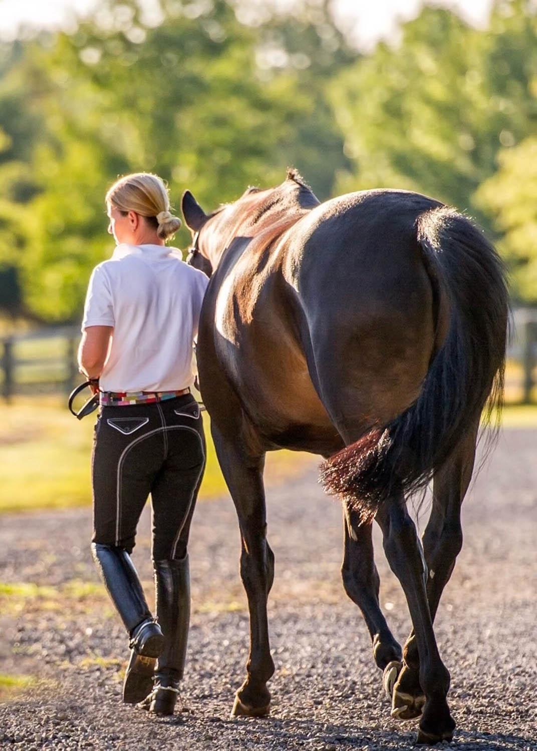 horse experiences at beachwood integrative equine therapy rhode island