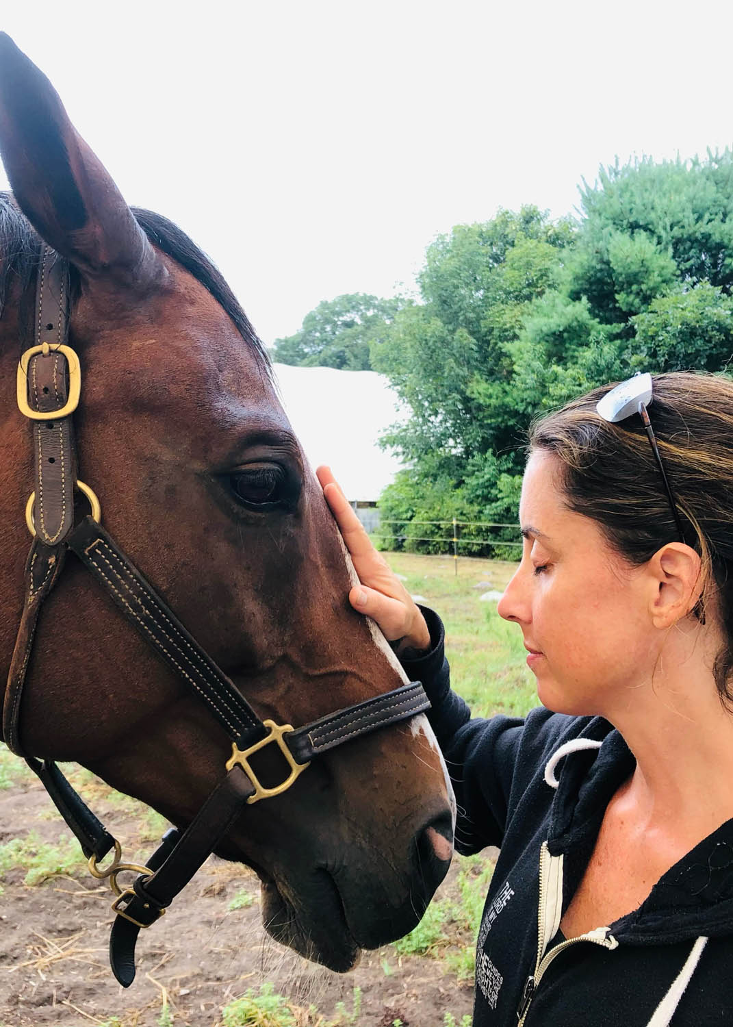 horse experiences at beachwood integrative equine therapy rhode island