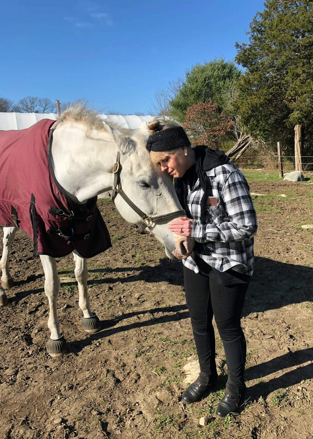 horse experiences at beachwood integrative equine therapy rhode island