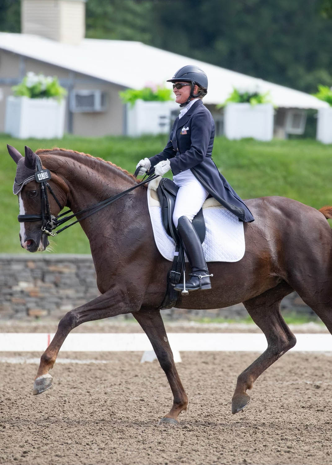 horse experiences at beachwood integrative equine therapy rhode island