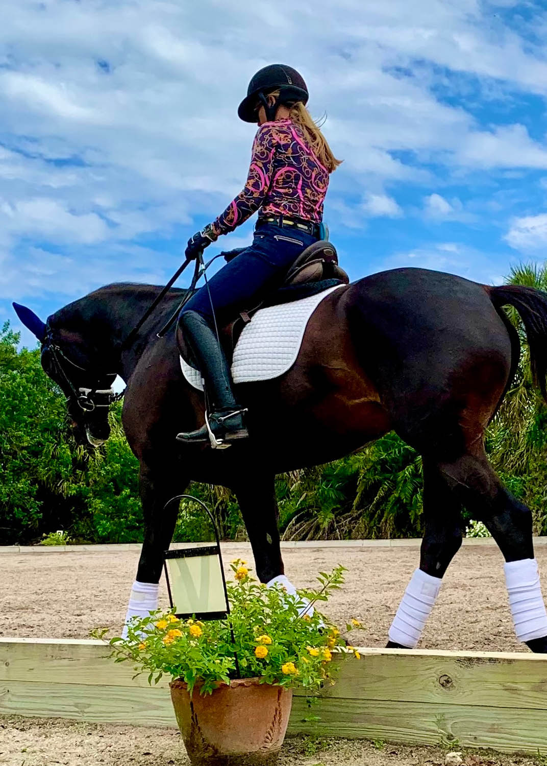 horse experiences at beachwood integrative equine therapy rhode island