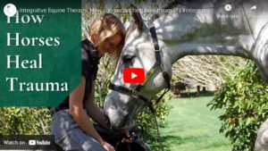 Integrative Equine Therapy and Mental Health Awareness: Tuning In and Building Resiliency