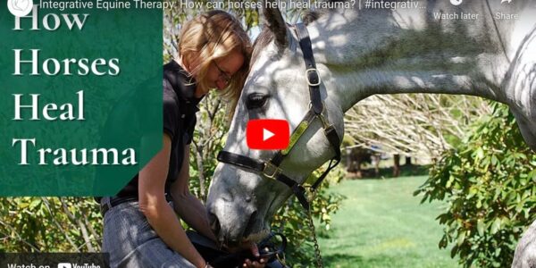 Integrative Equine Therapy and Mental Health Awareness: Tuning In and Building Resiliency