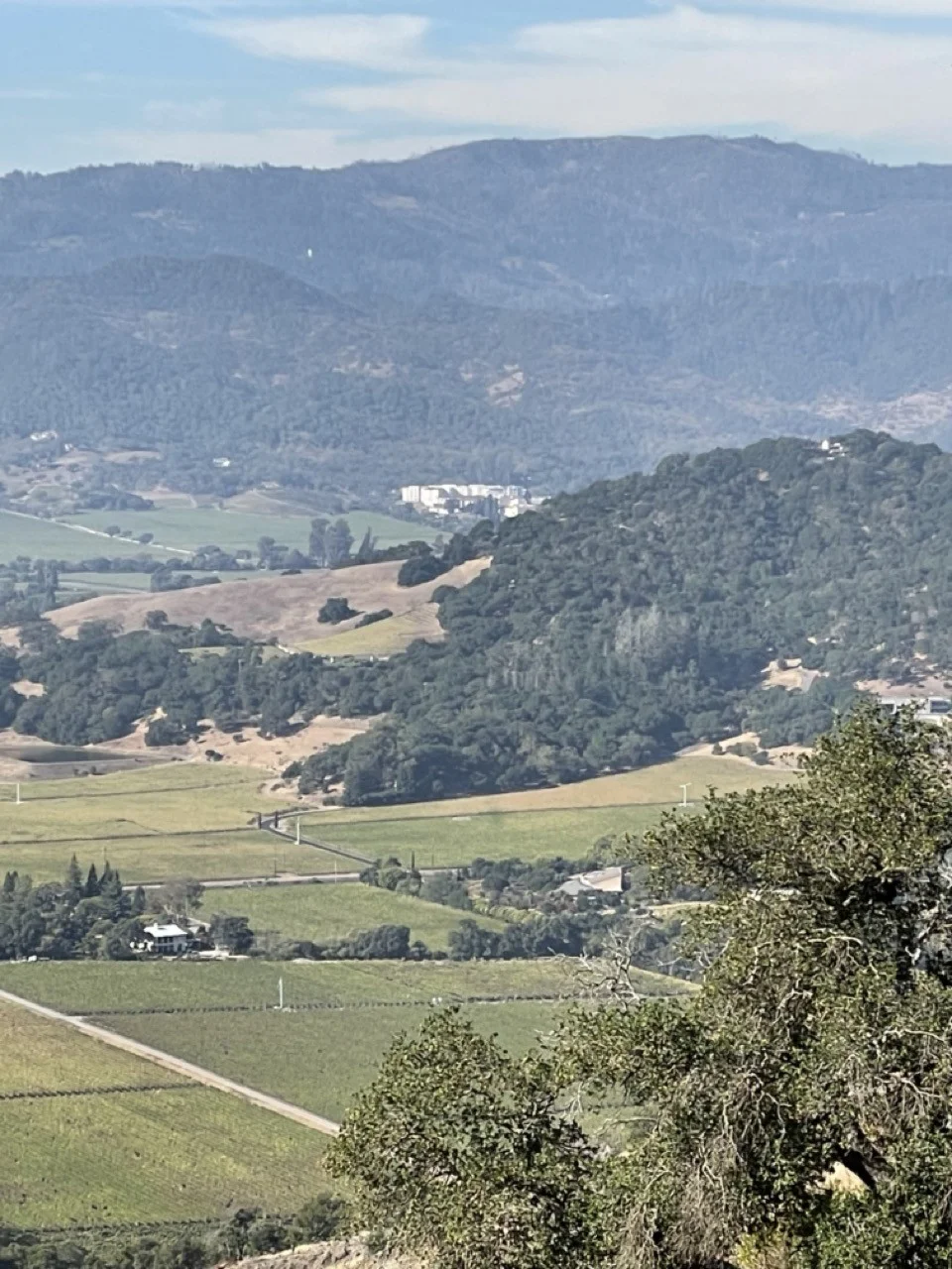 Beachwood Integrative Equine Therapy is excited to announce the opening of our first West Coast Center in Davis, California