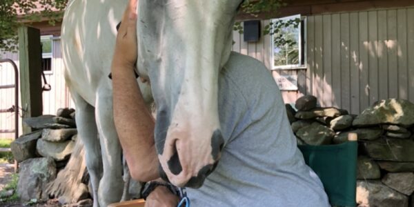 Choosing to Heal at Beachwood: What are the physical, emotional, and psychological benefits of Integrative Equine Therapy?